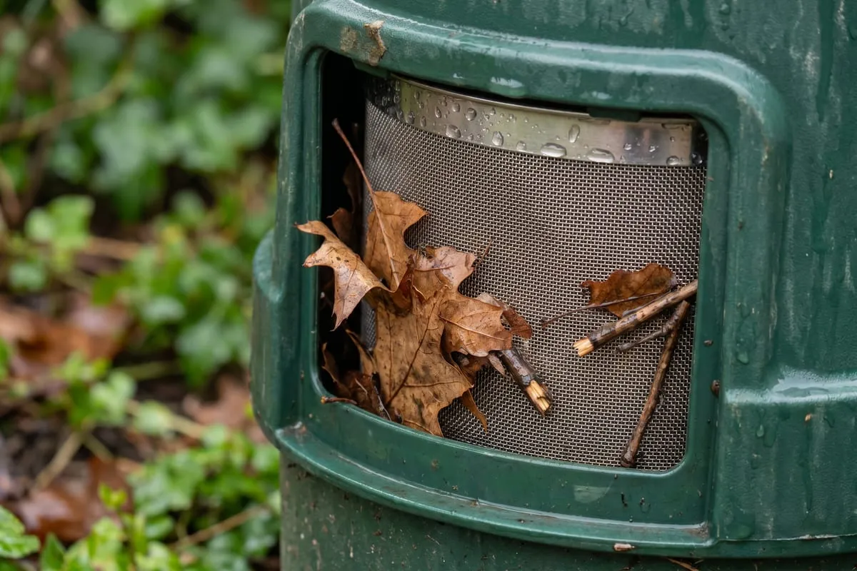 Nahaufnahme eines Regenwasser-Vorfilters: ein Edelstahlsieb in einem grünen Gehäuse fängt herbstliches Laub und kleine Äste ab, Wassertropfen auf dem Sieb.